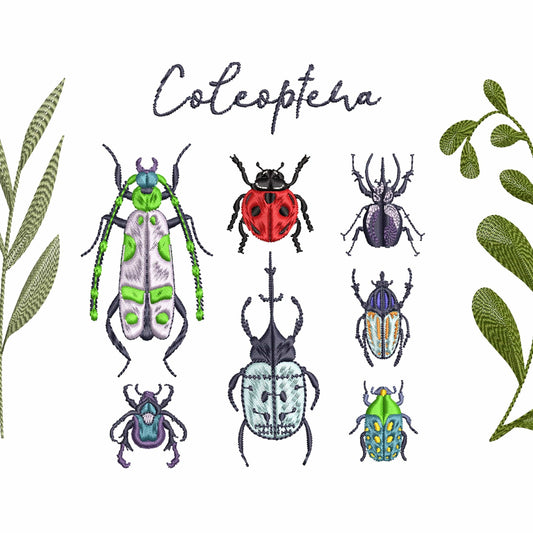 Beetle Insects Machine Embroidery Design Bundle