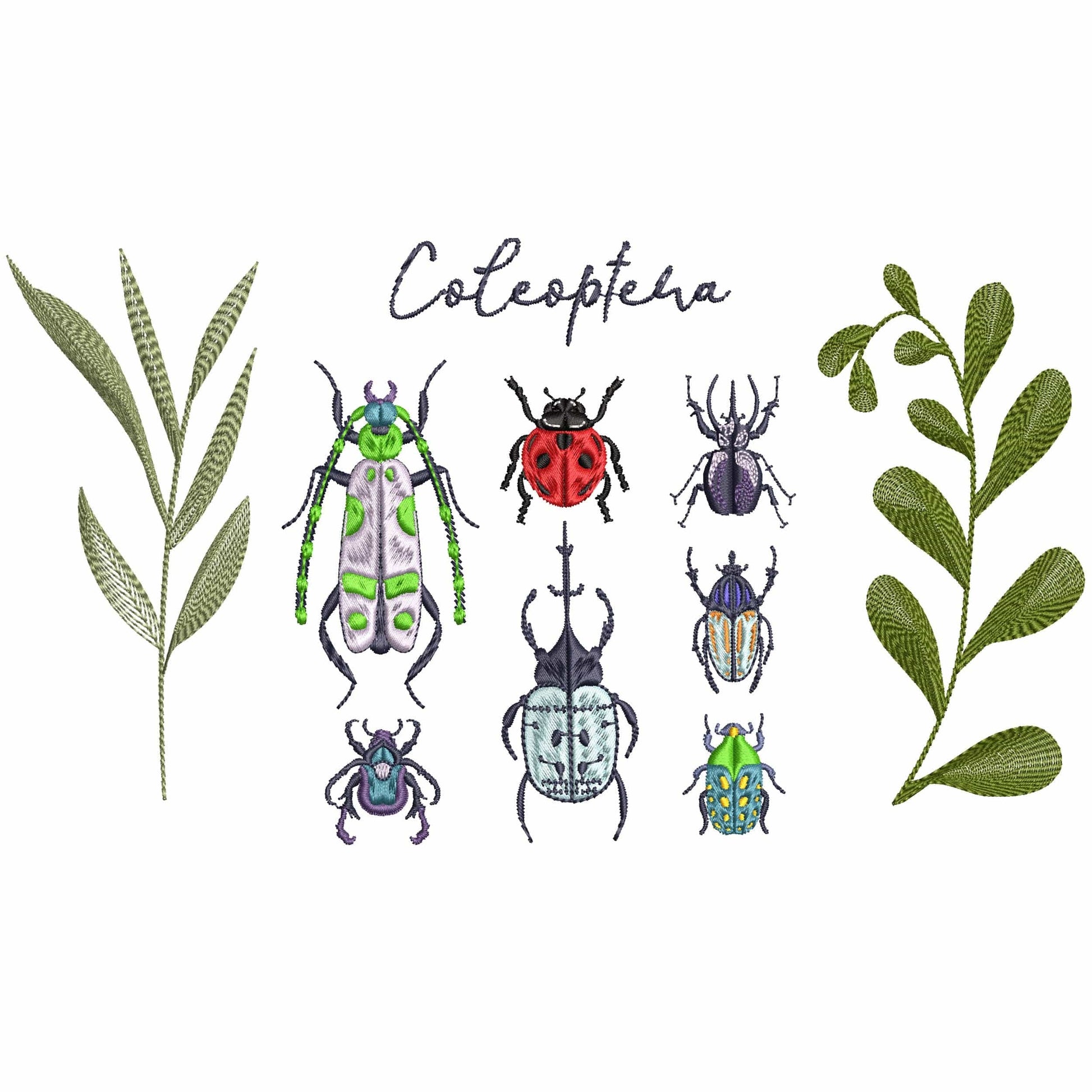 Beetle Insects Coleoptera Machine Embroidery Design Bundle