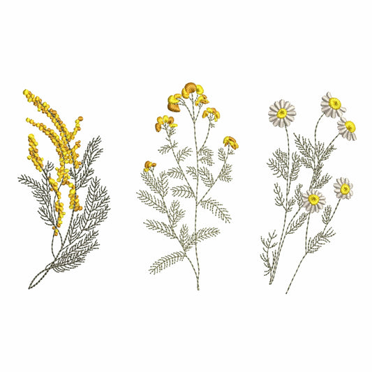Delicate Wild Flowers: Mimosa Tansy and Chamomile Machine Embroidery Design