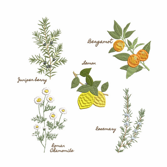 Kitchen Set: Lemon, Bergamot, Rosemary, Juniper, Chamomile for Machine Embroidery Design