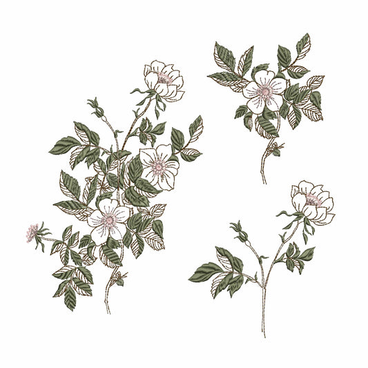 Rose Branch for Machine Embroidery Design