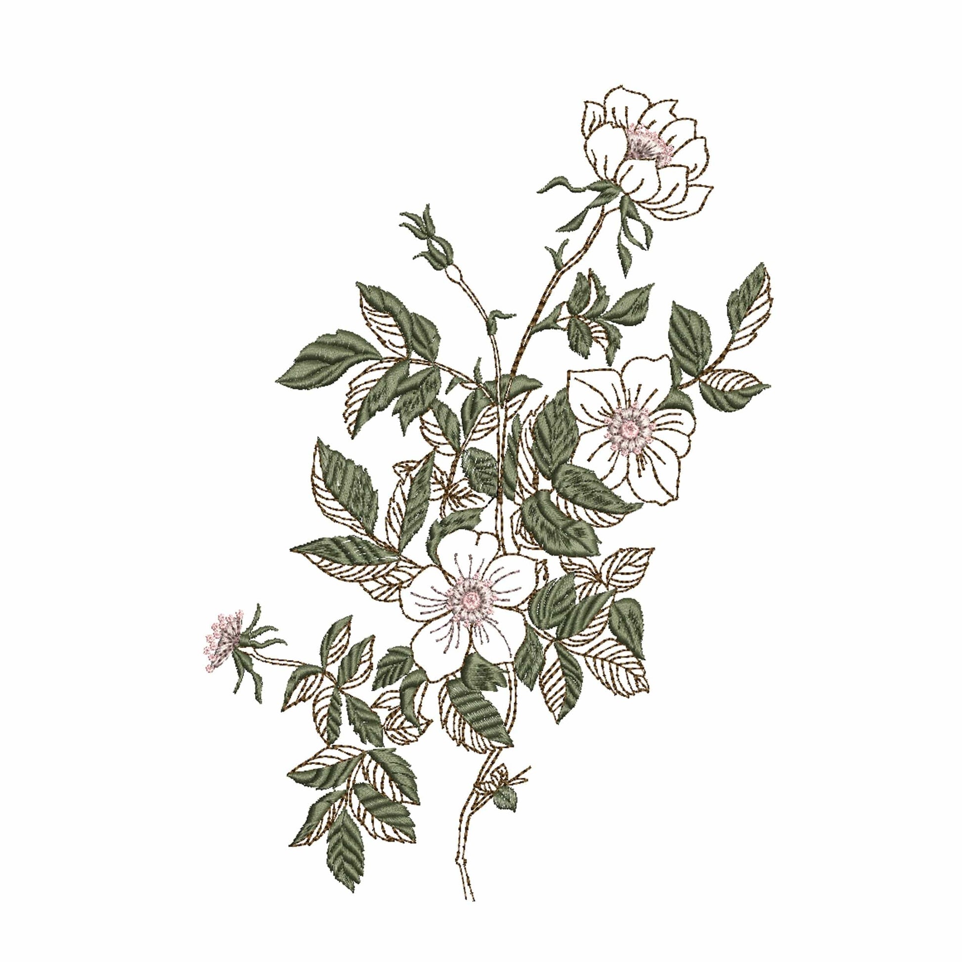 Tea Rose Branch for Machine Embroidery Design 