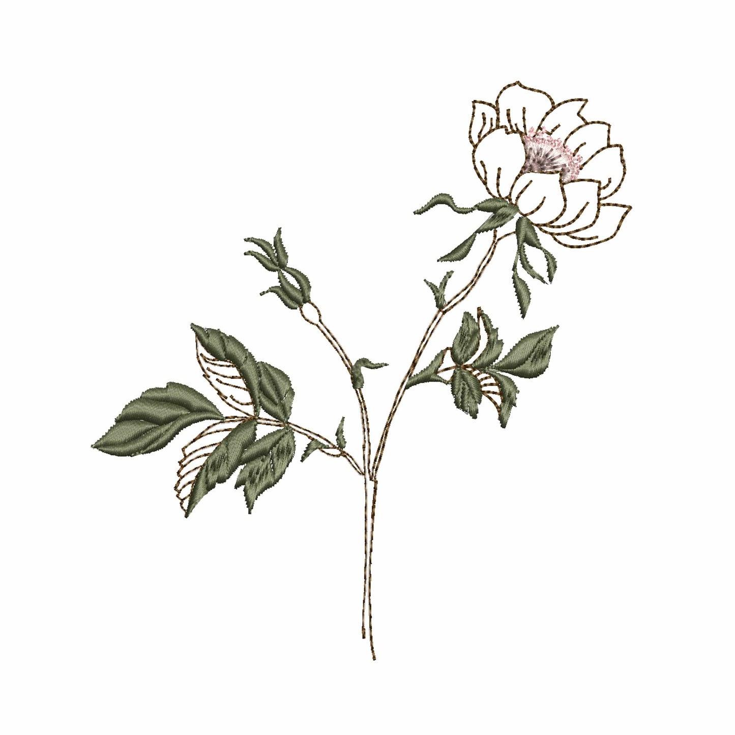 Rose Branch for Machine Embroidery Design